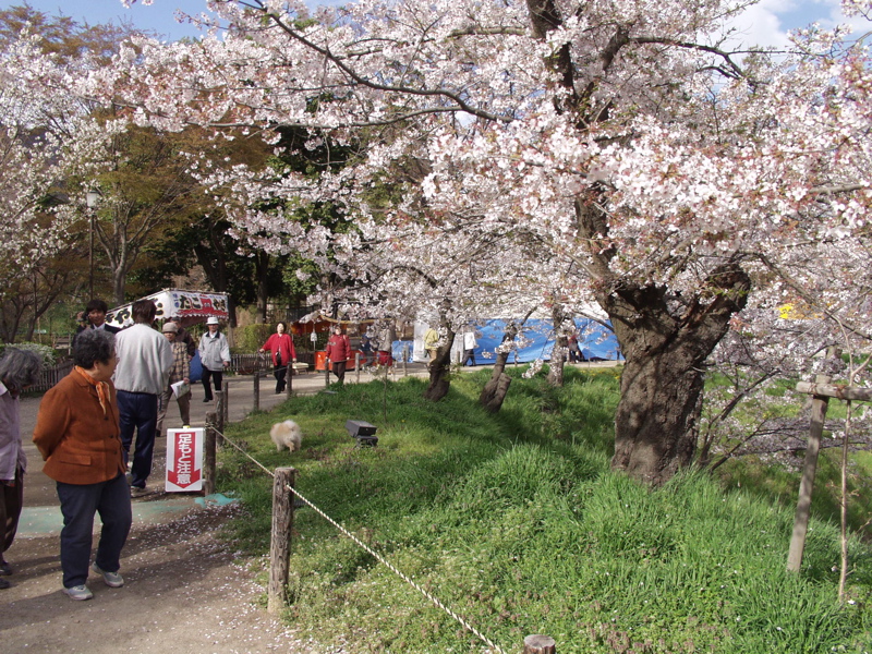 P4170651.JPG