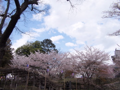 P4170597.JPG